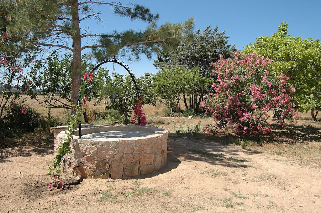 Hotel Mediterraneo